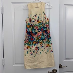 Like-New Anthropologie Dress with Pockets!!